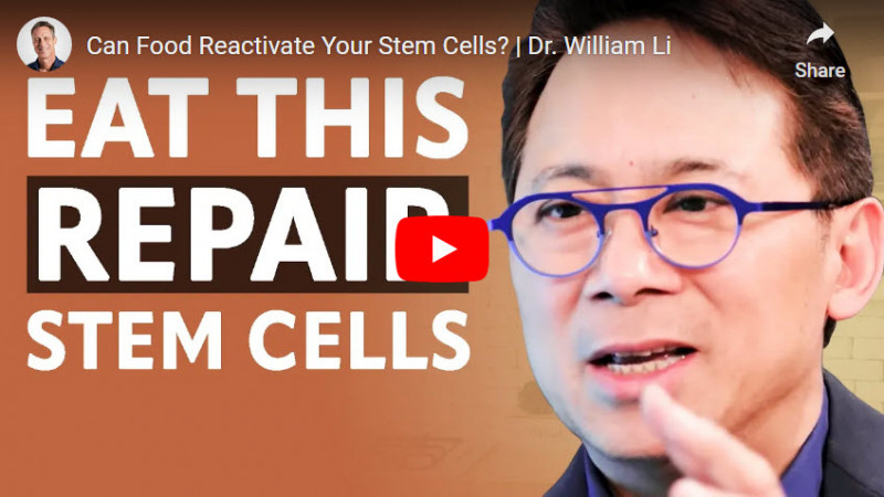 Can Food Reactivate Your Stem Cells