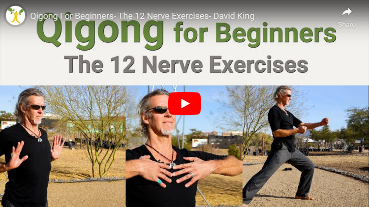 Qigong For Beginners The 12 Nerve Exercises