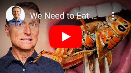 We Need To Eat Bugs & Insects To Save The Planet