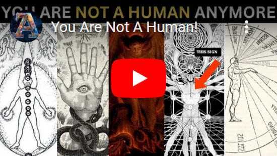 You Are Not A Human