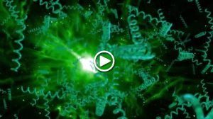 spirulina-amazing-algae-full-video